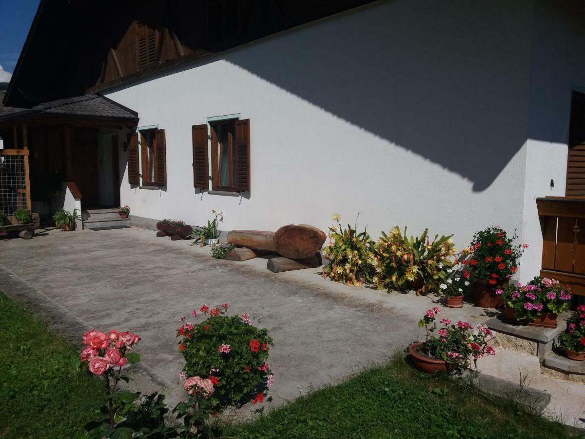 Appartamento Cologna Castelfondo Ngoại thất bức ảnh