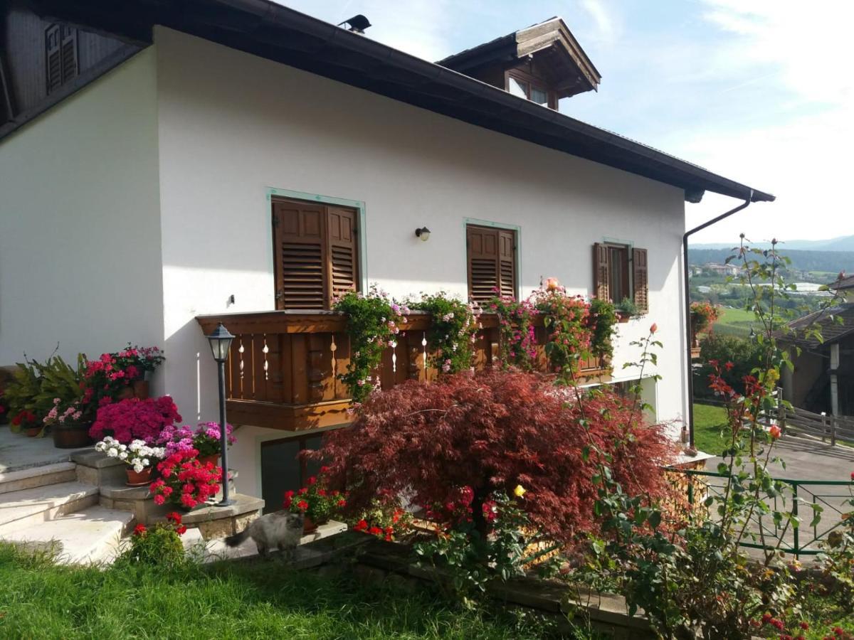 Appartamento Cologna Castelfondo Ngoại thất bức ảnh